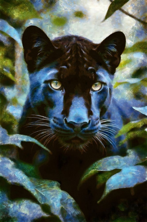 Picture of BLACK PANTHER