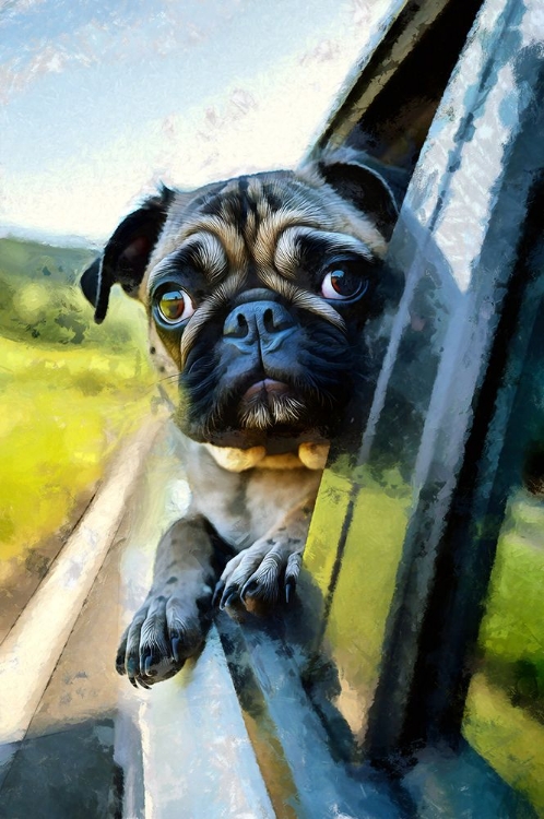 Picture of BREATHE THE COOL AIR