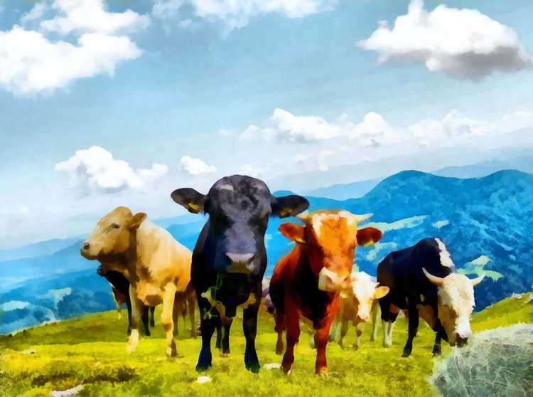 Picture of COW GANG