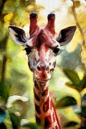Picture of CURIOUS GIRAFFE
