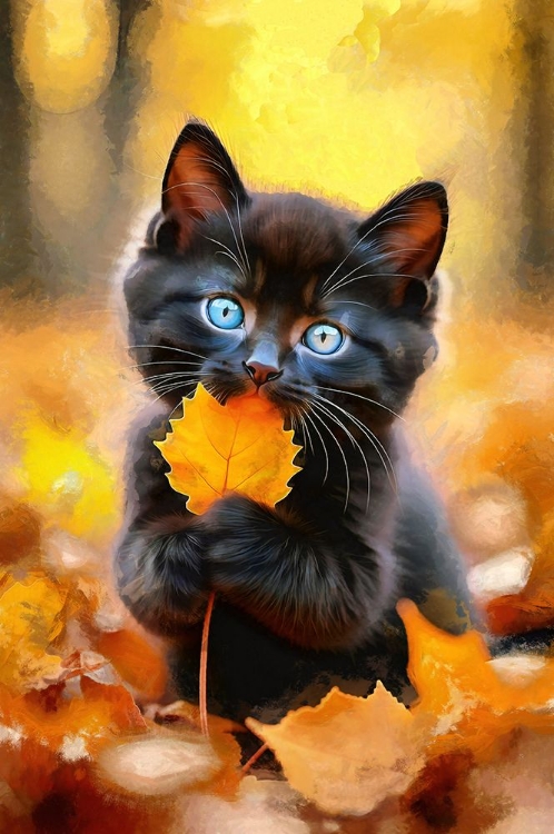 Picture of CUTE KITTY IN THE FALL