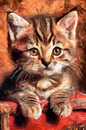 Picture of CUTE KITTY