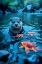 Picture of FANTASY OTTER II