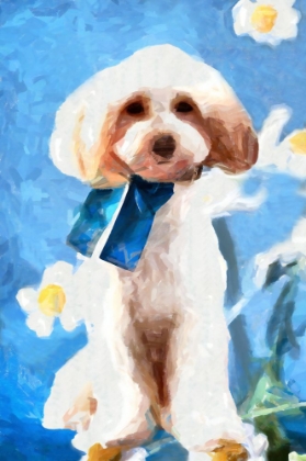 Picture of FLUFFY GOOD BOY