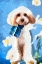 Picture of FLUFFY GOOD BOY