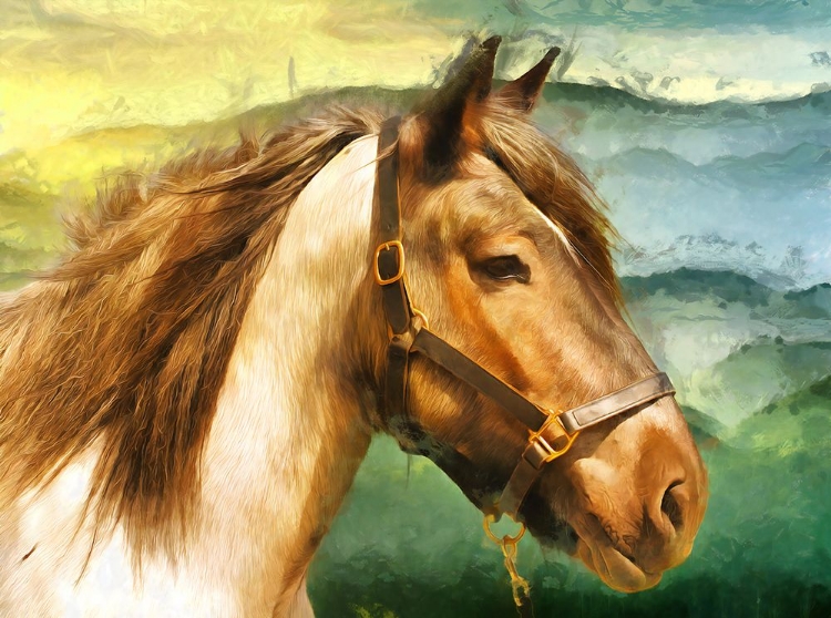 Picture of HORSE ABSTRACTION I