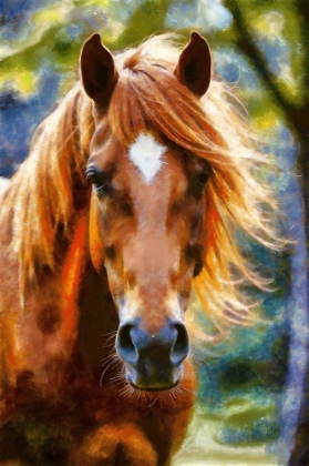 Picture of HORSE ABSTRACTION IV