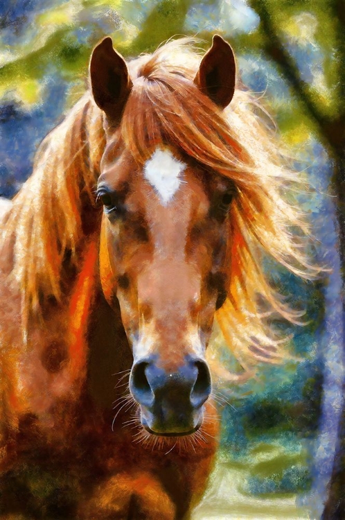 Picture of HORSE ABSTRACTION IV