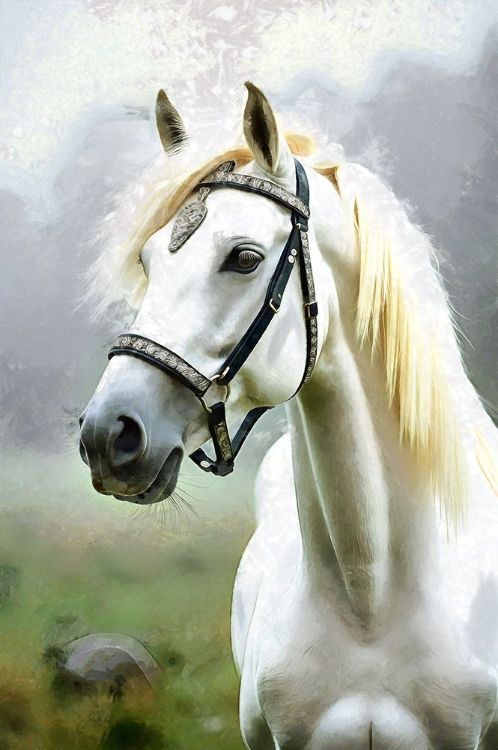 Picture of HORSE ABSTRACTION V