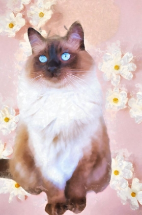 Picture of OLD BLUE EYES I