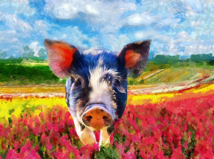 Picture of PIG ABSTRACTION
