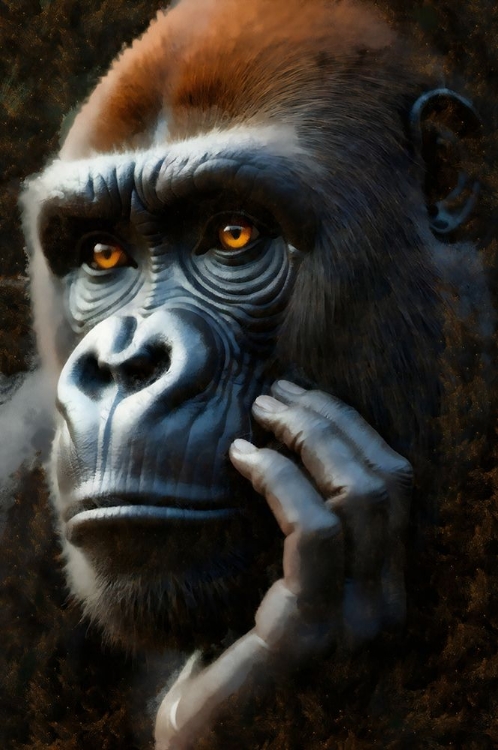 Picture of PONDERING GORILLA I