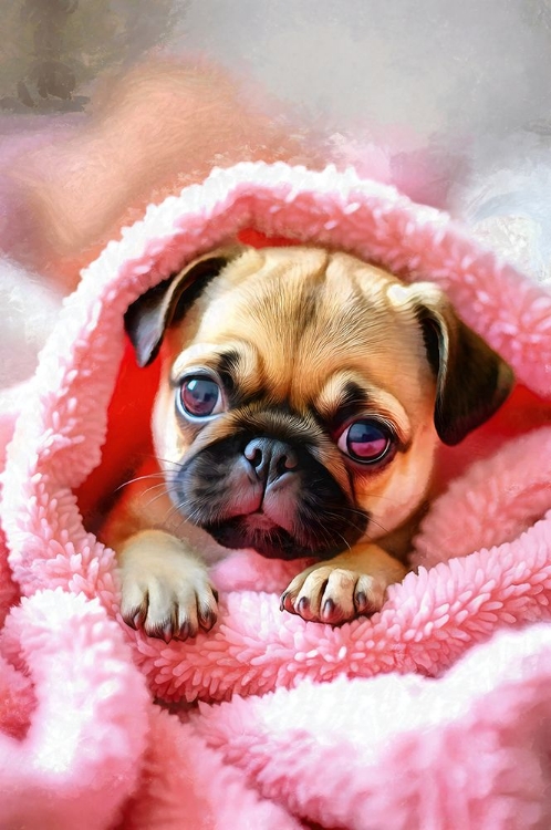 Picture of PUPPY IN PINK