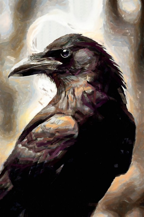 Picture of RAVEN ABSTRACTION I