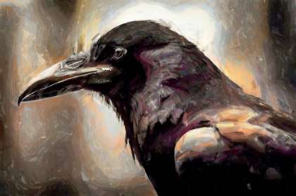 Picture of RAVEN ABSTRACTION II