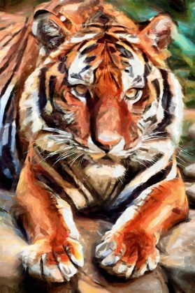 Picture of READY TO POUNCE