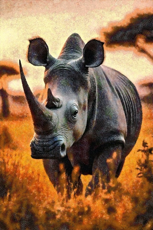 Picture of RHINO ABSTRACTION