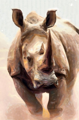 Picture of RHINO CHARGING