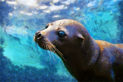 Picture of SEAL ABSTRACTION I
