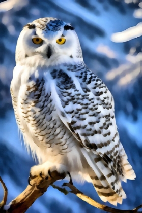 Picture of SNOWY OWL PORTRAIT I