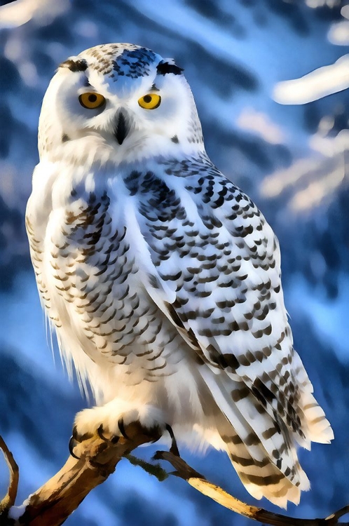 Picture of SNOWY OWL PORTRAIT I