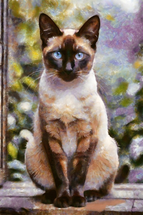 Picture of WE ARE SIAMESE