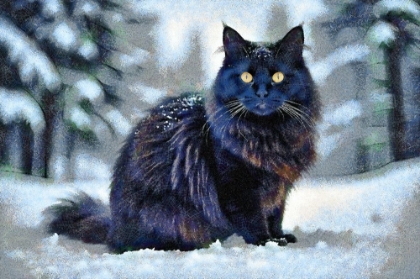 Picture of WINTER KITTY