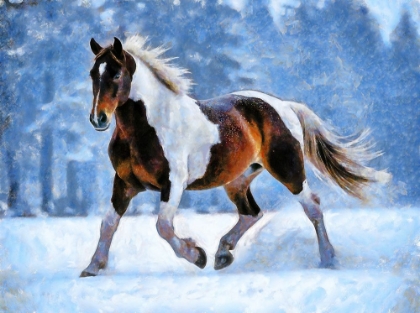 Picture of WINTER PRINCE II