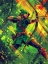 Picture of ROBIN HOOD POP ART IV
