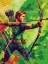 Picture of ROBIN HOOD POP ART V