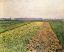 Picture of THE GENNEVILLIERS PLAIN, YELLOW FIELDS 1884