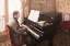 Picture of YOUNG MAN AT THE PIANO 1876