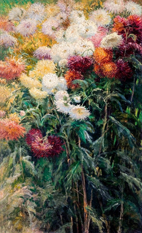 Picture of CHRYSANTHEMUMS IN THE GARDEN AT PETIT–GENNEVILLIERS 1893