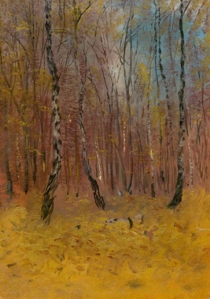 Picture of AUTUMN FOREST