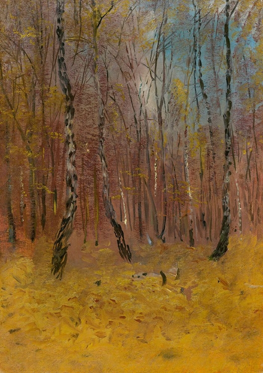 Picture of AUTUMN FOREST
