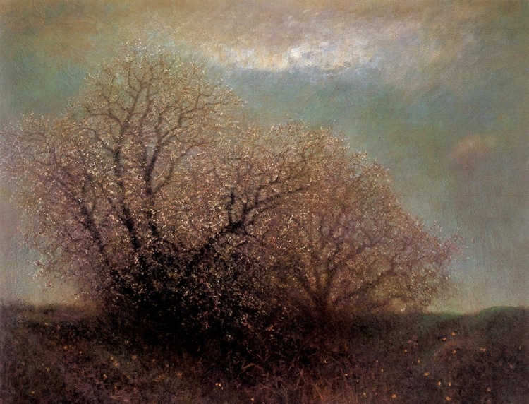 Picture of BLOSSOMING TREES