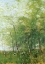 Picture of EDGE OF A FOREST WITH CROSSES