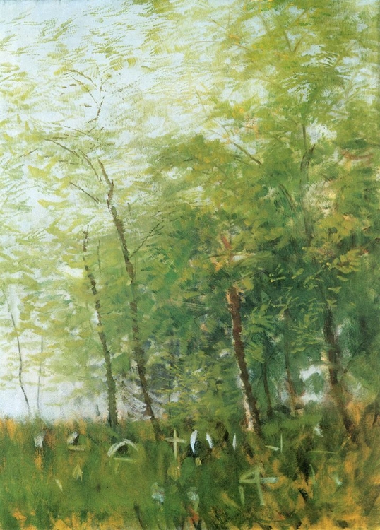 Picture of EDGE OF A FOREST WITH CROSSES