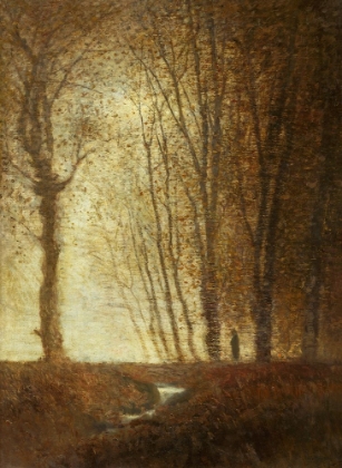 Picture of EDGE OF THE FOREST IN THE MOONLIGHT