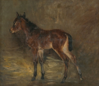 Picture of FOAL