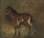 Picture of FOAL