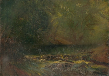 Picture of FOREST INTERIOR WITH A BROOK