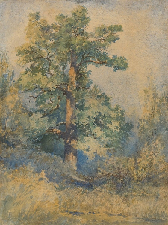 Picture of SKETCH OF A TREE