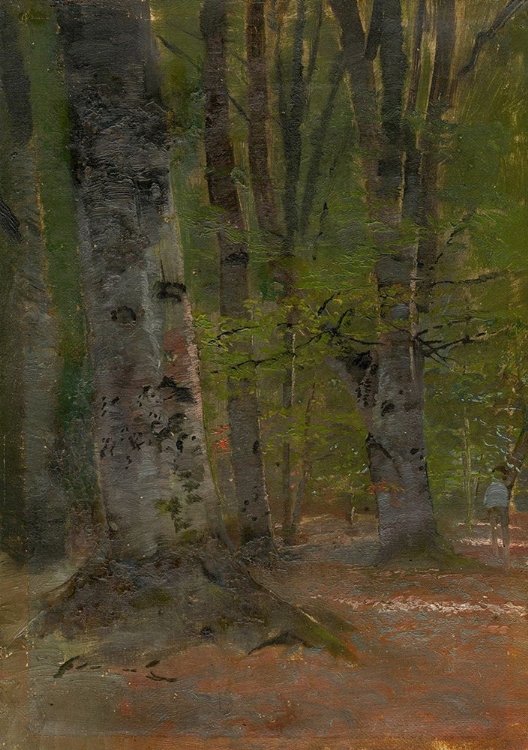 Picture of STUDY OF FOREST INTERIOR