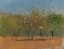 Picture of TREES IN BLOOM