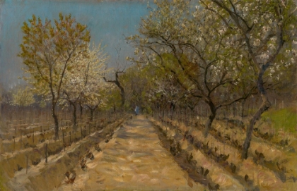 Picture of VINEYARD