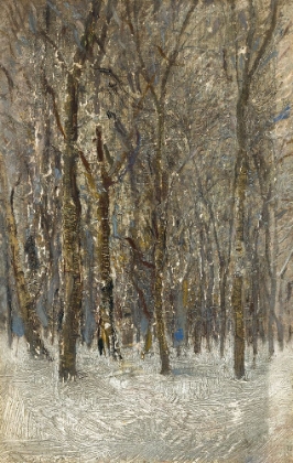 Picture of WINTER FOREST