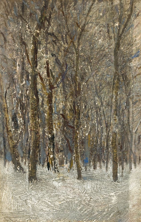 Picture of WINTER FOREST