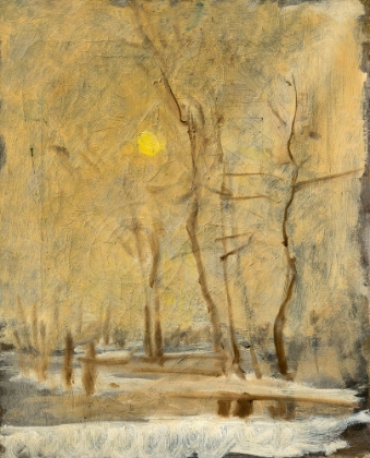 Picture of WINTER SUN IN A LANDSCAPE WITH A BROOK