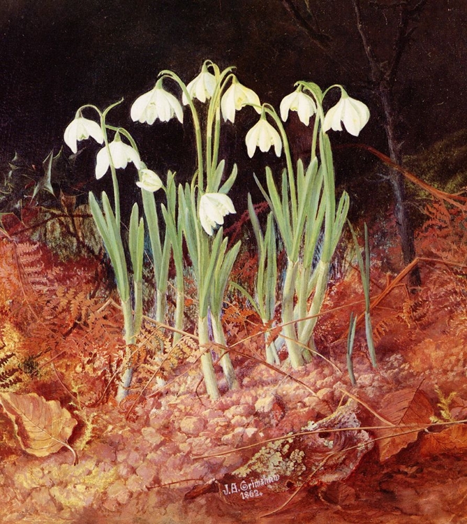 Picture of FAIR MAIDS OF FEBRUARY 1862